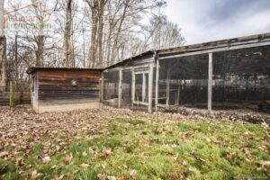 Garten mit Häuschen