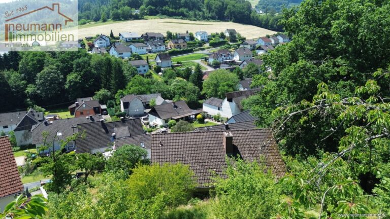Blick vom oberen Grundstücksteil