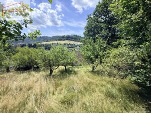 oberer Garten