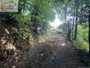 Weg zum Haus
