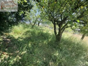 oberer Garten